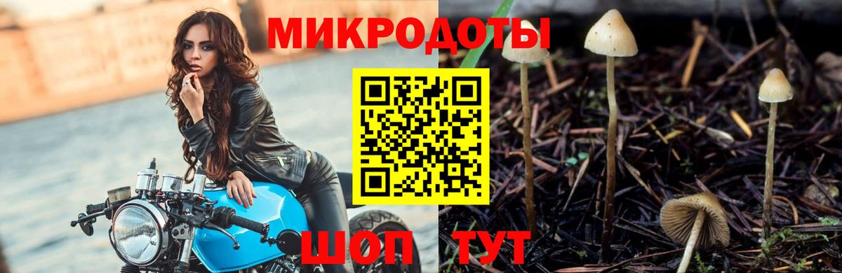 Галлюциногенные грибы прущие грибы Надым