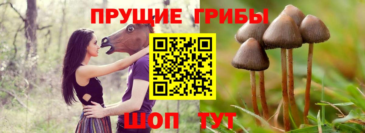 Галлюциногенные грибы GOLDEN TEACHER  Галлюциногенные грибы мицелий  Вход с VPN  Надым 